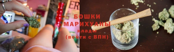соль ск Белокуриха