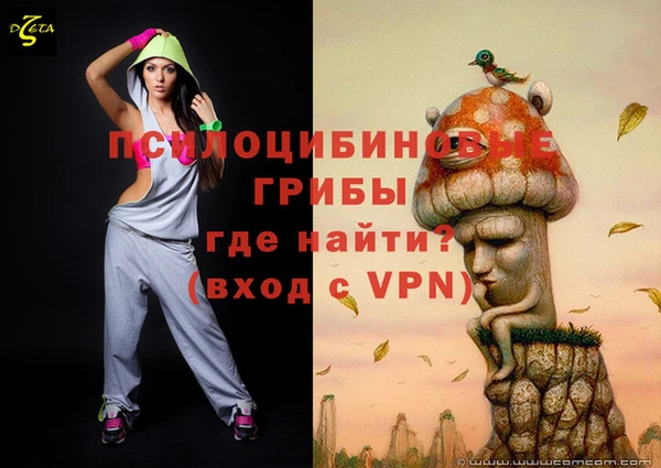 соль ск Белокуриха