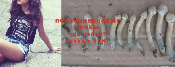 молекула духа Белоозёрский